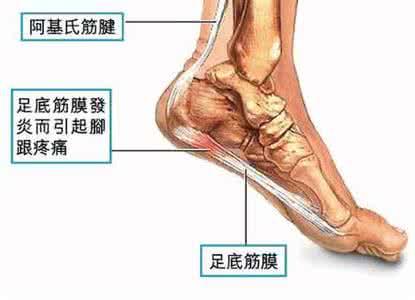 王森林 - Sen-Lin Wang