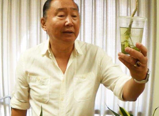 【園藝達人】用波霸奶茶杯和饮料杯做植物水培插枝