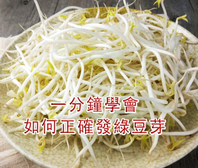 【外婆廚房】一分鐘學會，如何正確發綠豆芽