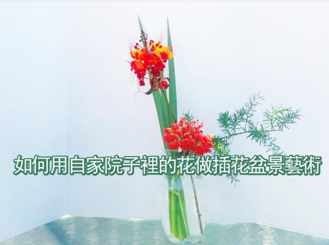 【花藝設計 】 如何用自家院子裡的花做插花盆景藝術