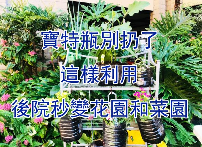 【園藝達人】寶特瓶別扔了，這樣利用後院秒變菜園