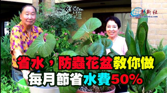 【園藝達人】省水，防蟲的花盆教你做，每月節省50%水費