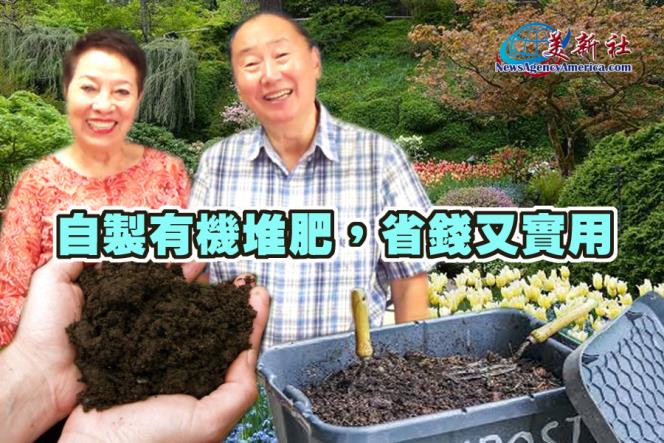 【園藝達人】自製有機堆肥，省錢又實用