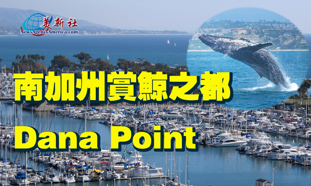 【週末何處去】南加州賞鯨之都：Dana Point