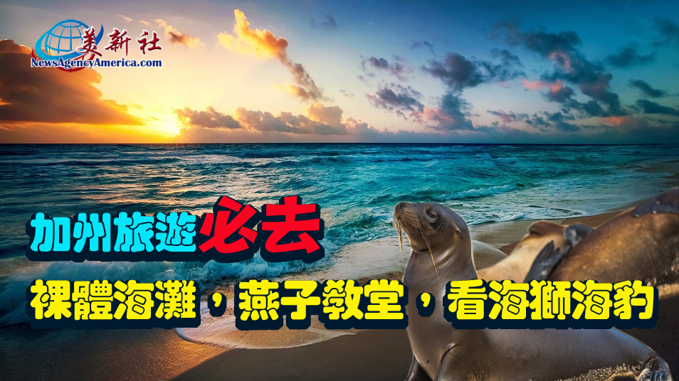 加州旅遊必去景點：裸體海灘，燕子教堂，看海獅海豹