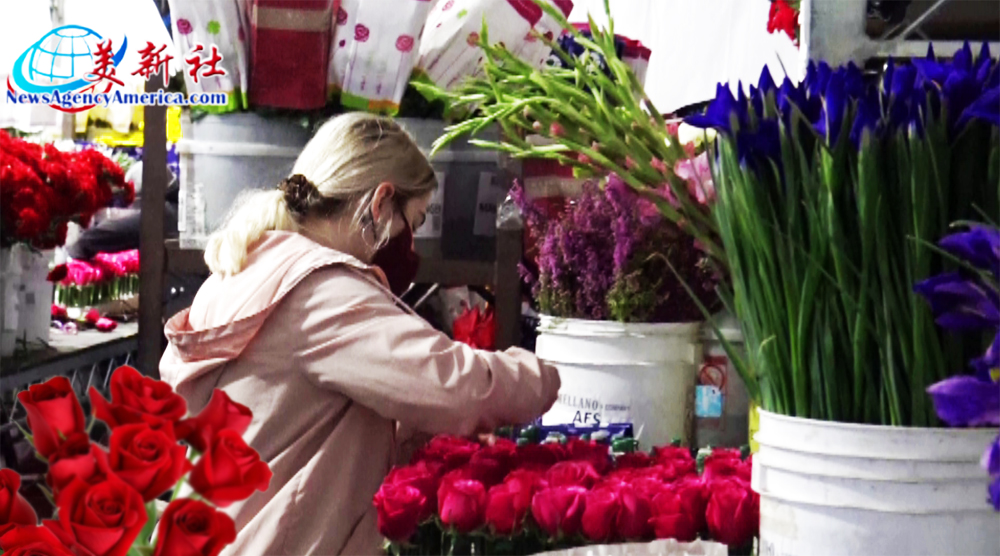 【視頻】成千上萬美麗的鮮花是如何裝飾成元旦花車的