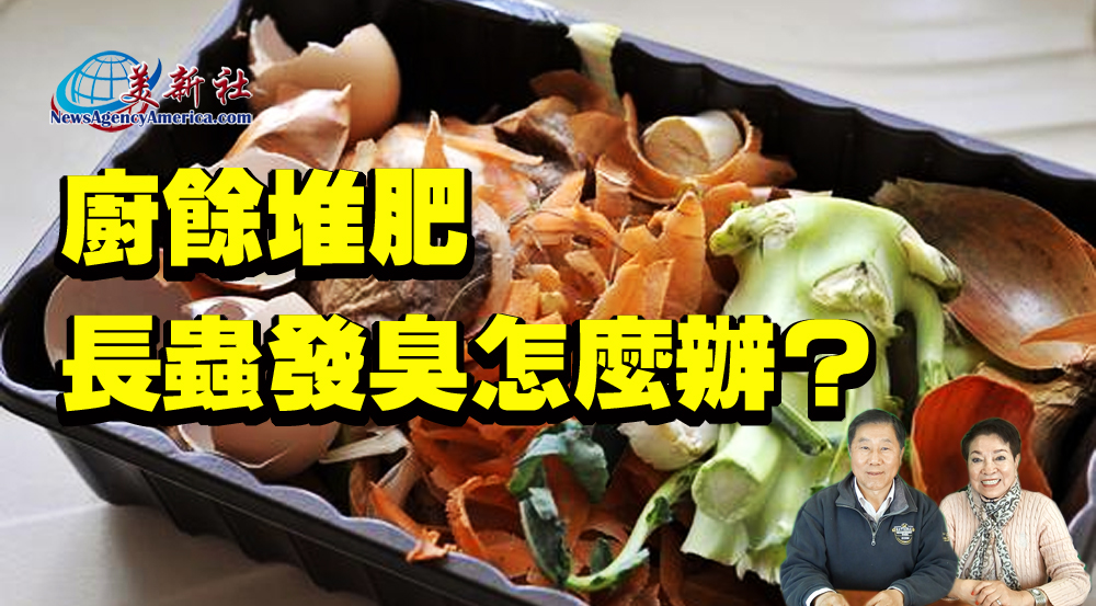 【視頻】廚餘堆肥，長蟲，發臭怎麼辦？