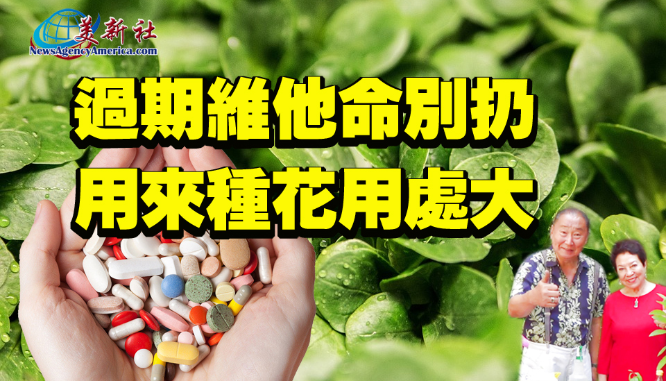 【園藝達人】過期維他命別扔，用來種花用處大