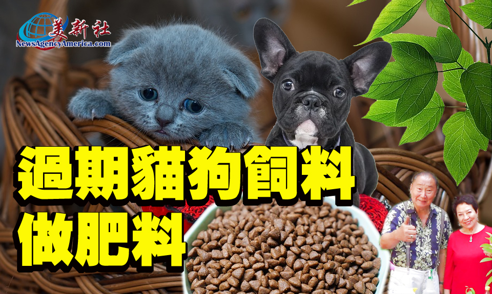 【園藝達人】過期貓狗飼料做肥料，效果不錯哦！