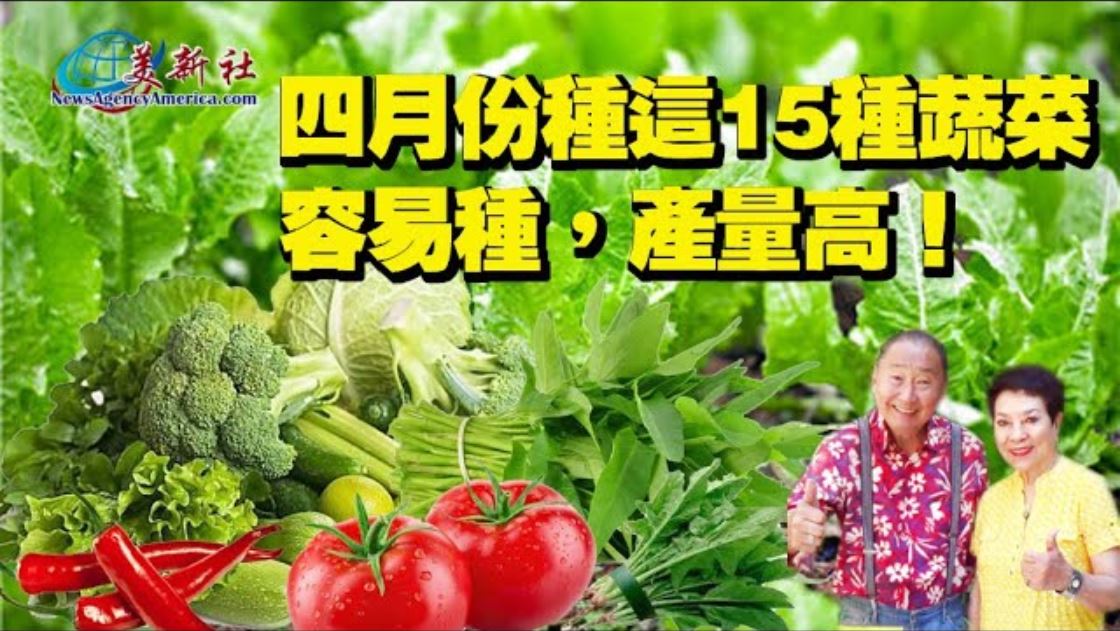 【園藝達人】四月種什麼？15種菜四月種 整年不買菜！