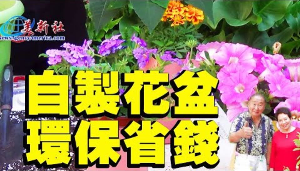 【園藝達人】自製花盆，環保省錢！