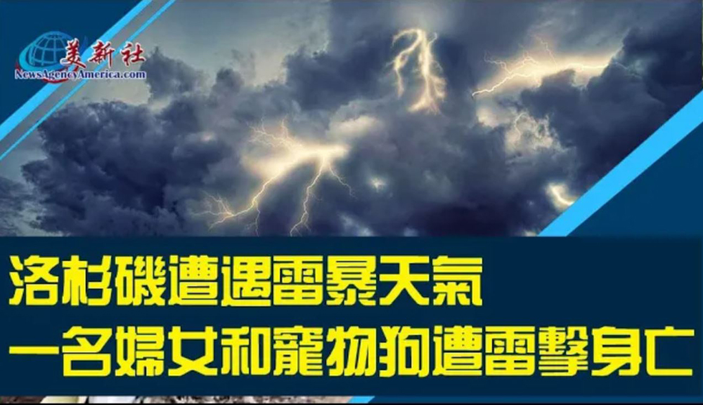 【視頻】洛杉磯遭雷暴天氣 一婦女和寵物狗遭雷擊身亡