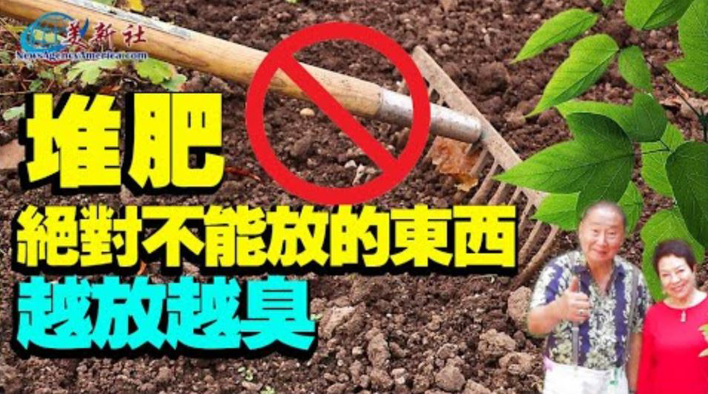 【園藝達人】堆肥絕對不能放的東西, 越放越臭！
