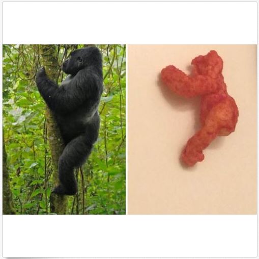 Cheetos3.JPG